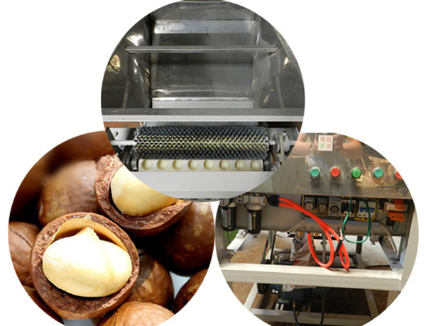 macadamia_nut_cutting_machine3.jpg